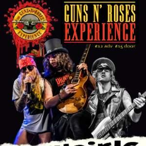 THE GUNS AND ROSES EXPERIENCE