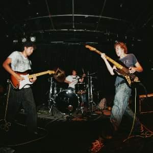 VAN QUAN / Stonnythedonny / Dahlia's Comet