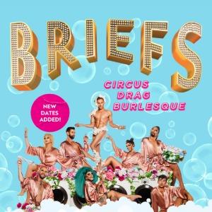 BRIEFS BRIEFS