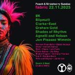 Peach & Strawberry Sundae