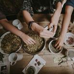 How To Eat Herbs: Roots & Rhizomes