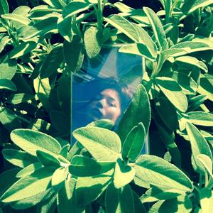 Radio Hito & Special Guests