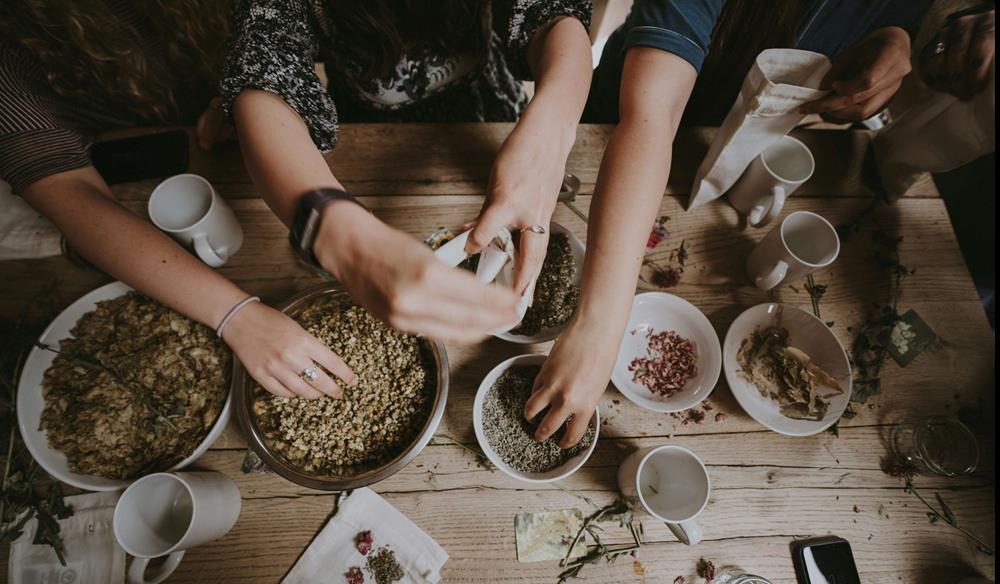 How To Eat Herbs: Roots & Rhizomes