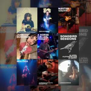Songbird Sessions 18