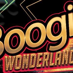 Boogie Wonderland Tribute Night - Stourport