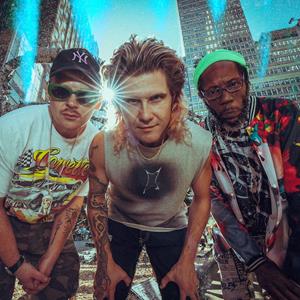 Too Many Zooz