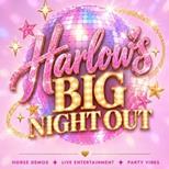 Harlow's Big Night Out @ Your Horse Live.