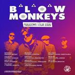 The Blow Monkeys