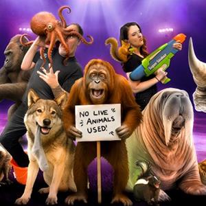 Amazing Animals