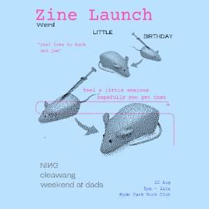 werid little birthday(zine launch)