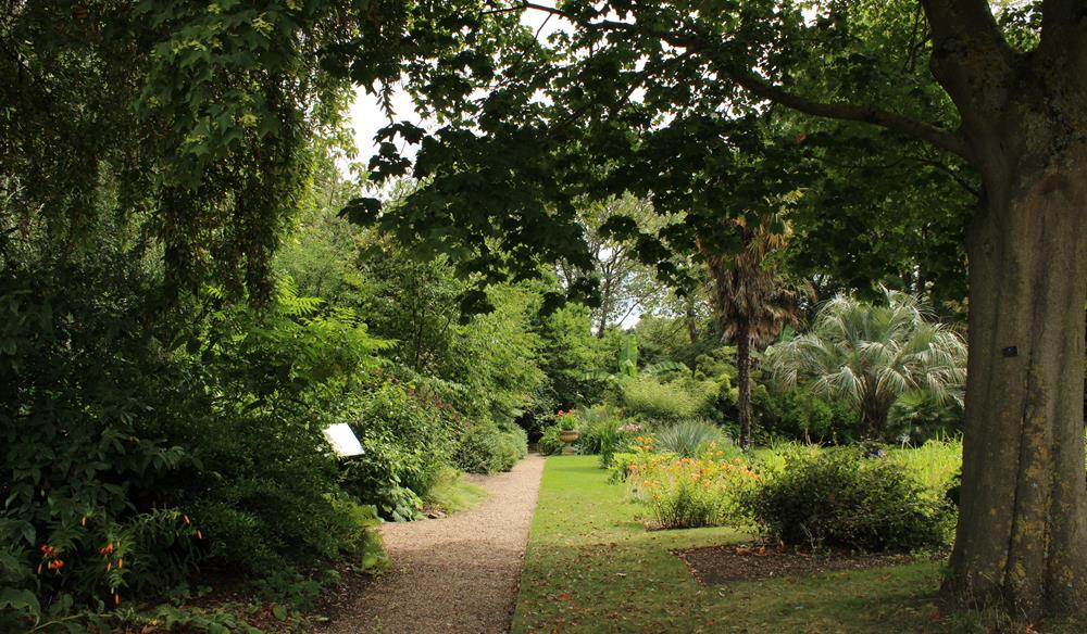 Tree Identification Course