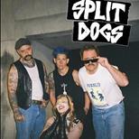Split Dogs