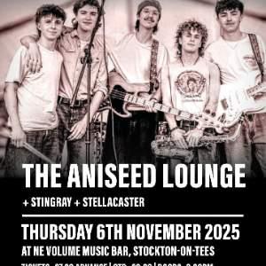 The Aniseed Lounge + Support