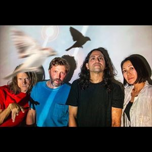 Deerhoof