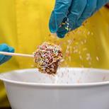 The Chocolate Experience No Wow