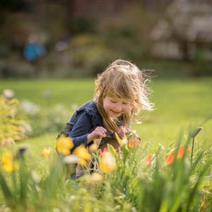 Family: Bugs and Bees Exploration