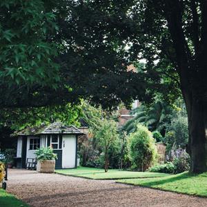 Tree Identification Course