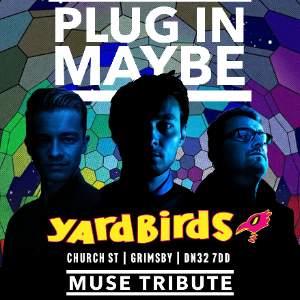 PLUG IN MAYBE / TYPHOONS