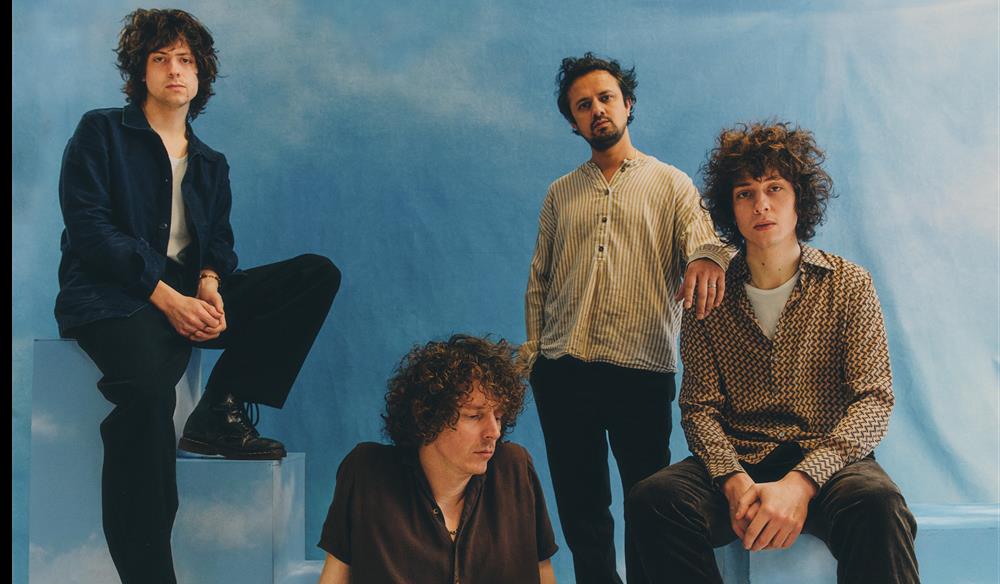 Mystery Jets