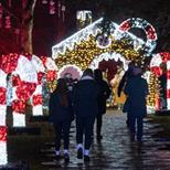 Wollaton Winter Light Trail