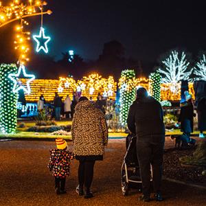 Trentham Winter Light Trail - Peak