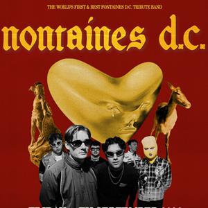 Nontaines D.C (Fontaines D.C Tribute)