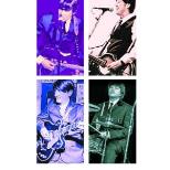 Beatles Tribute Night - Castle Bromwich