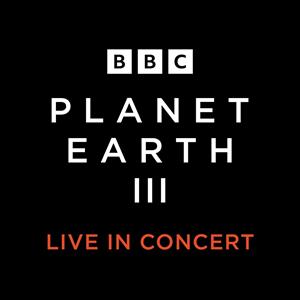 Planet Earth III - Matinée