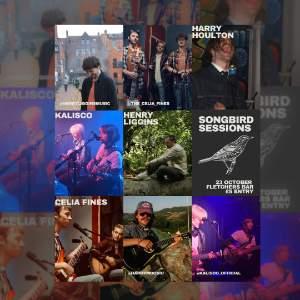 Songbird Session 12
