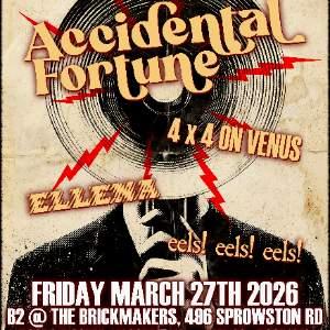 ACCIDENTAL FORTUNE and friends