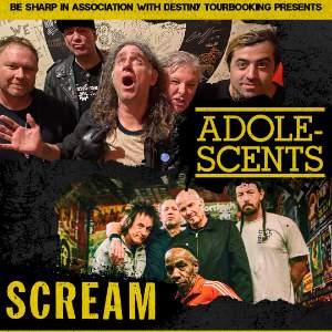 Adolescents & Scream