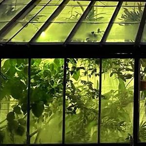 Anti-Valentines Night