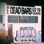 DEAD BARS / BACK TEETH