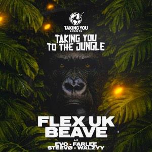 Taking You To The Jungle