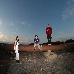 glasshouse red spider mite + sunglasz vendor