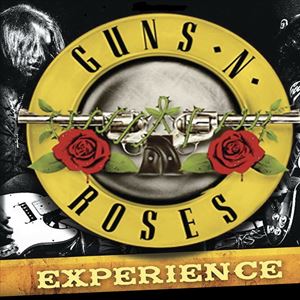 Guns N Roses Experience