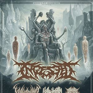 Ingested - Leeds Ingested - Leeds
