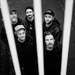 Pigs Pigs Pigs Pigs Pigs Pigs Pigs