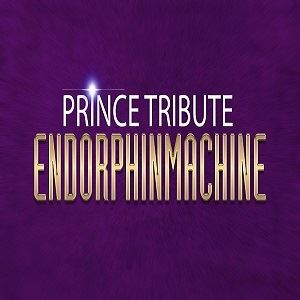 Prince Tribute Endorphinmachine
