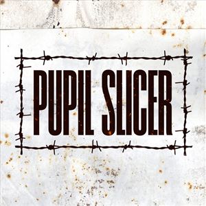 Pupil Slicer