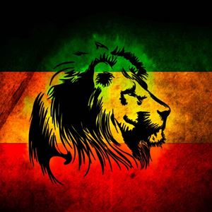 Reggae Night Longbridge Reggae Night Longbridge