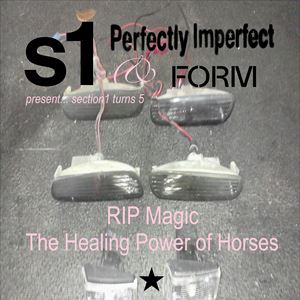 RIP Magic + The Healing Power Of Horses