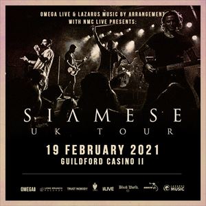 Siamese at Casino 2, Guildford Siamese at Casino 2, Guildford
