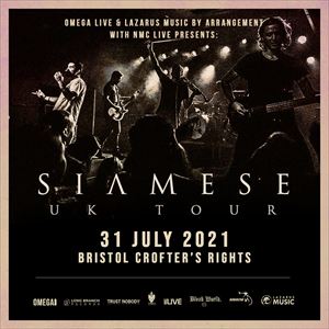 SIAMESE AT THE CROFTERS RIGHTS, BRISTOL SIAMESE AT THE CROFTERS RIGHTS, BRISTOL