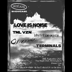 Skygaze Showcase ft. Love Is Noise