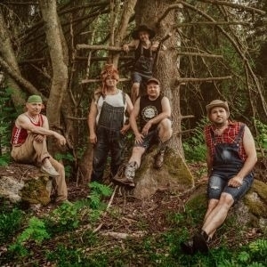 Steve'n'Seagulls