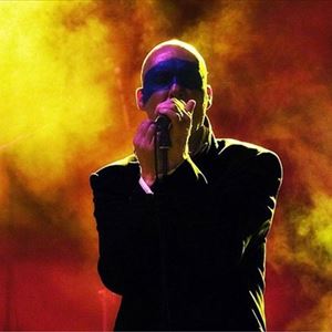Stipe: REM Tribute Band Stipe: REM Tribute Band