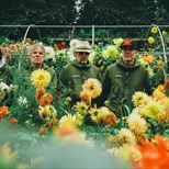 Bristol Sounds: Super Furry Animals