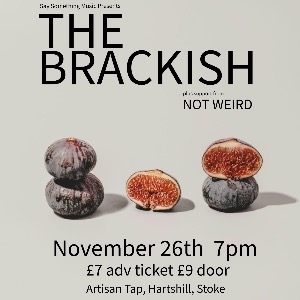 The Brackish + Not Weird