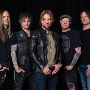 The New Roses